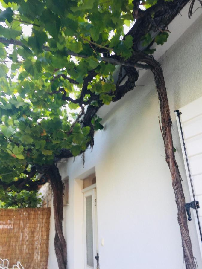 Holiday Home Casa Bianca Sukosan Ngoại thất bức ảnh